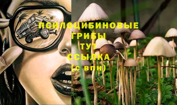 экстази Богданович