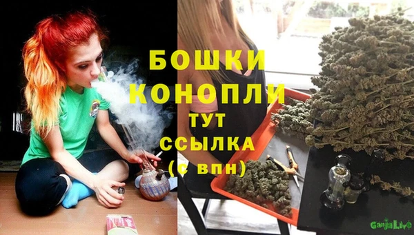 jwh Богородск