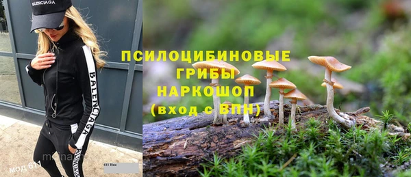 экстази Богданович