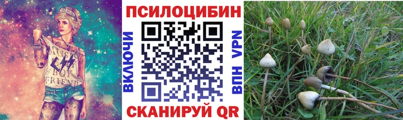 где можно купить наркотик  Ачхой-Мартан  Псилоцибиновые грибы GOLDEN TEACHER 